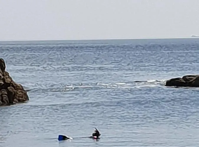 Bettina La Baule-Escoublac